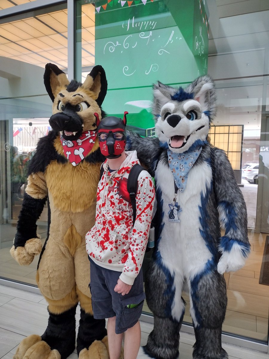 OmegaPupMason1's tweet photo. Your so tall ☺️ I felt so small next to you two and that cause I'm 5'9 😳 I'm so happy I got to meet both of yll ❤️ #TFF2022 #Furrycon #TexasFurryCon2022 #MyfirstCon #PuppyBoi #HumanPup #RedPup #Daddypuppy
📷 @TakenYandere https://t.co/ST6qhMb1gI