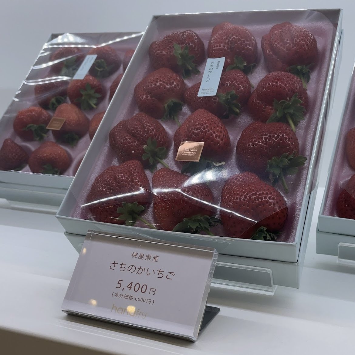 lrVB5RBVOUJBwWh's tweet photo. 【FRUiT hanafru】難波
上品な、上質なイチゴ🍓を味わえます😍

🧸グルメ↓Instagram↓
お店の感想やほか写真をInstagramで投稿しています💗
フォロー大歓迎‼️フォロバいきます🏃💨
https://t.co/aqK6BF8uRV
#フォロー #フォロバ #RT https://t.co/9GxJg8QUhU