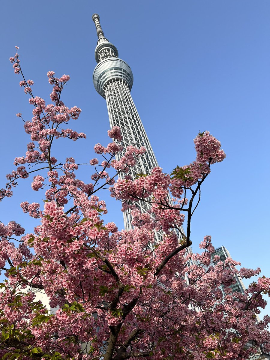 gouki_43's tweet photo. 写真センスなくても上手に撮れた https://t.co/g4lTS24ORa
