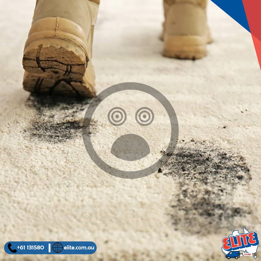 Elite Carpet Dry Cleaning (dry_elite) / Twitter