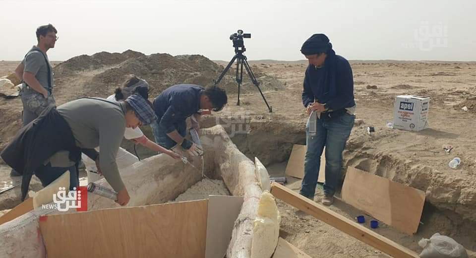 Museum_Iraq's tweet photo. البعثة الألمانية تعلن عن العثور على أقدم قارب يعود إلى 4000 سنة تقريباً ،
اسمته بالإكتشاف الفريد ولأول قارب في التأريخ ،في اوروك "بمحافظة السماوة" قبل يومين https://t.co/jmLVhsHQZK
