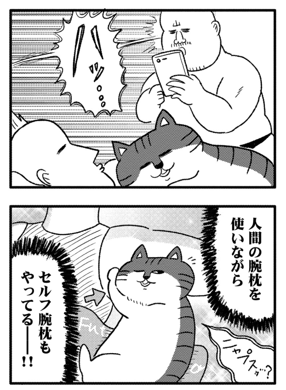 ネコの腕枕は最高だぜ
#ヒゲ母ちゃんがんばりマッスル2 