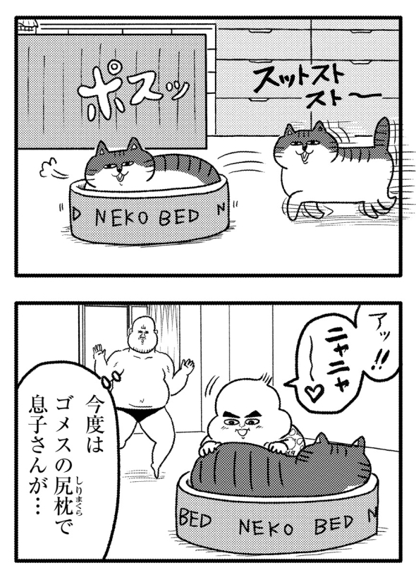 ネコの腕枕は最高だぜ
#ヒゲ母ちゃんがんばりマッスル2 