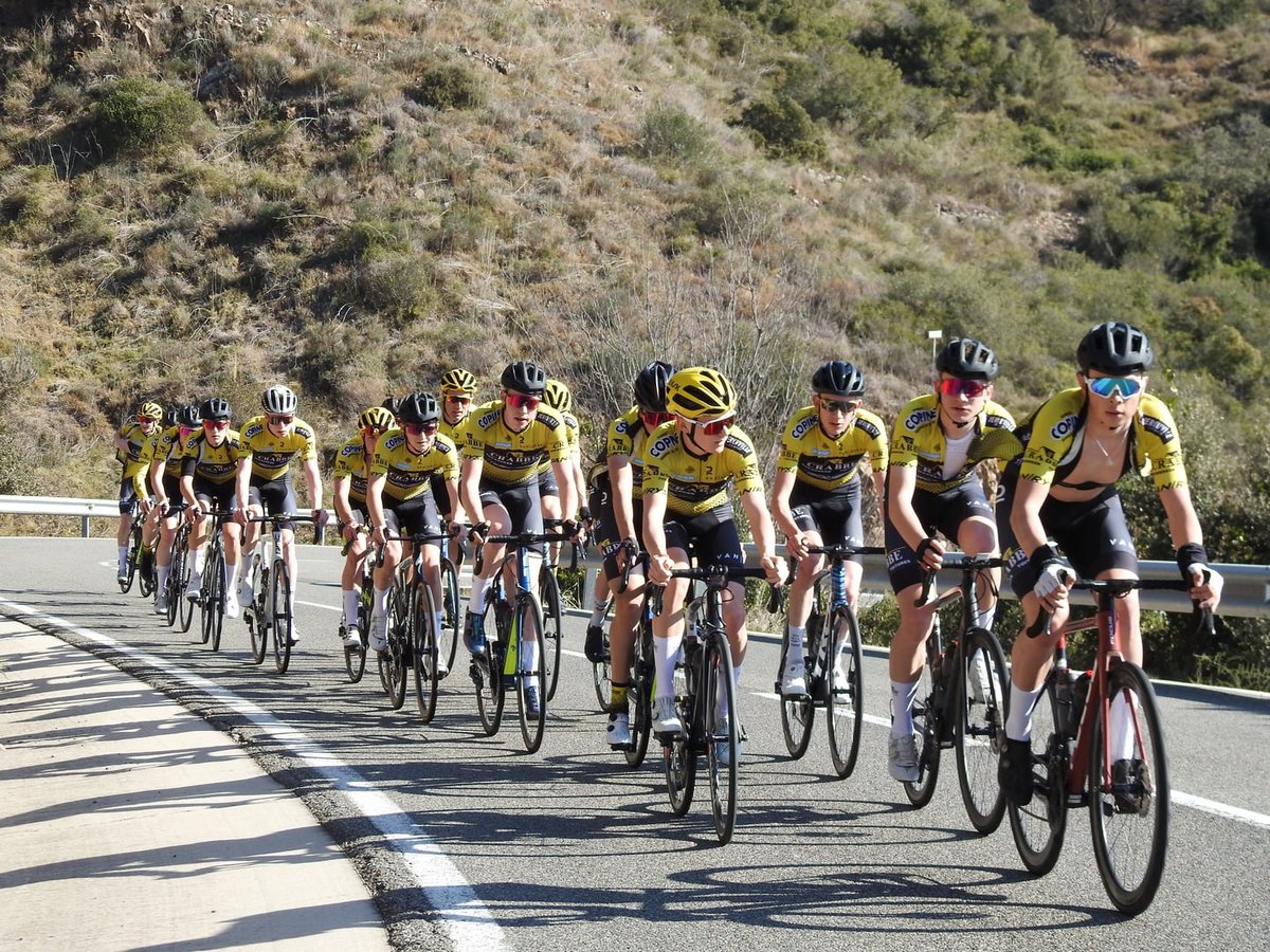 whichtrainingcamp tweet media