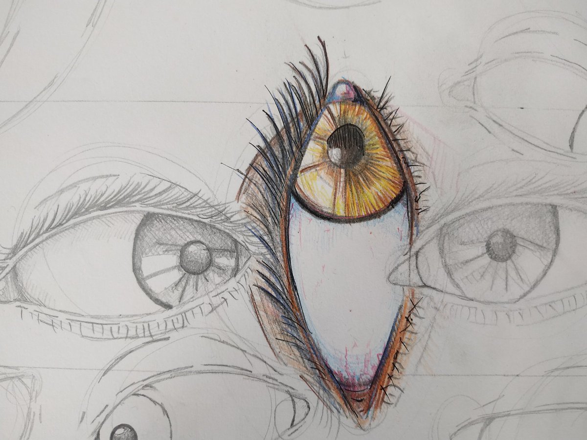 Honojusmun's tweet photo. No sólo somos un #colegio somos grandes #artistas.En @Novaschool_es #MedinaElvira fomentamos la #CREATIVIDAD, hoy nuestra alumna trabaja una composición de ojos. Estudios #anatomicos. Pronto os enseñaremos el final.....
#educationforlife #arte #dibujos https://t.co/uaxzL3e5hC