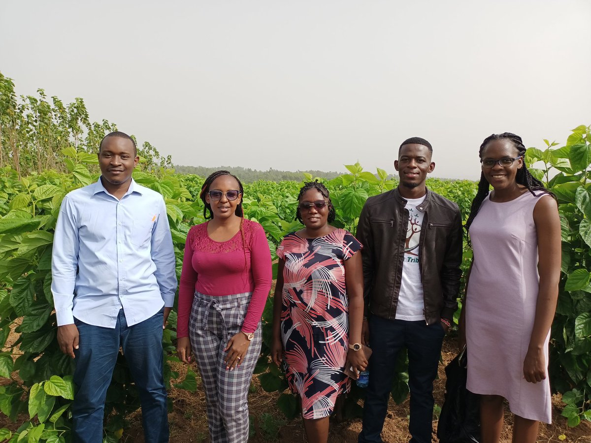 m_ochako's tweet photo. Institutional commercialisation support program. JOOUST, 100acres of Mulbery @tomwansa @Jaramogiuniversity #ARIN @LyfloneN, @arin_africa, @Obrian_ot @KENIAupdates https://t.co/sZZcdR61ZQ