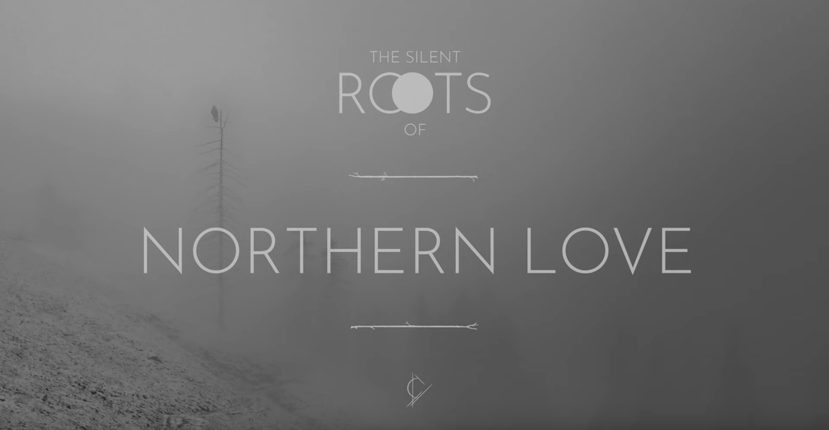 The Roots of: NORTHERN LOVE
youtube.com/watch?v=yK_so3……

#corpusvitreum #melancholic #atmospheric #agnostic #music #fullmoon #thesilentroots #northernlove  #theroots #metalmusicians #piano #passion #instrumental #darkmusic #silentmusic #meditation #sad #melancholy #emotion #calm