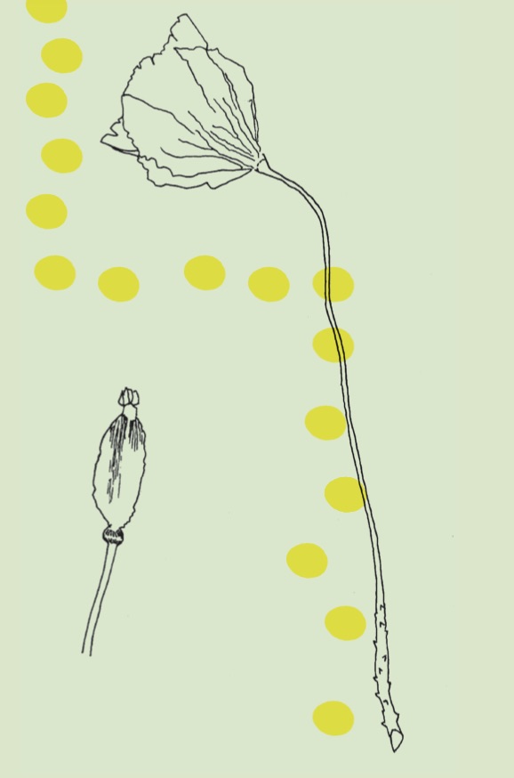 rachelhowfield's tweet photo. I've enjoyed doing this recently. #NatureConnection #EvidenceLed #Wellbeing Find more of my invitations to connect with nature on my website https://t.co/zSN4H0NBAe https://t.co/daXXeXkfUf