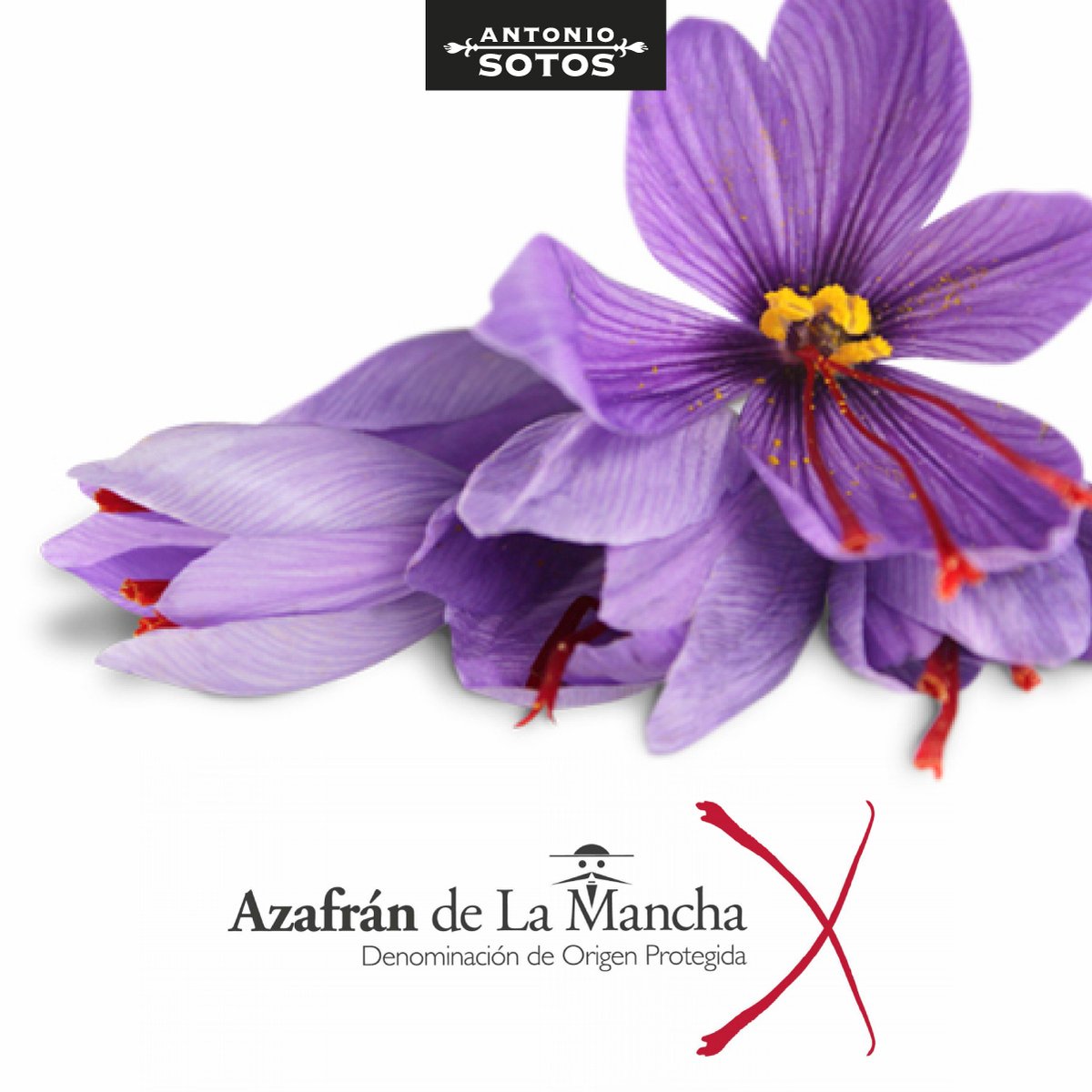 Antonio_Sotos's tweet photo. Que no te den gato por liebre ⛔ El auténtico azafrán DO La Mancha, calificado por los expertos como el mejor azafrán del mundo, se cultiva únicamente en Castilla-La Mancha, en las zonas de Albacete, Toledo, Cuenca y Ciudad Real.
https://t.co/AcfCpsGqa8 #azafrán #DOMancha https://t.co/MJLb5BWVP5