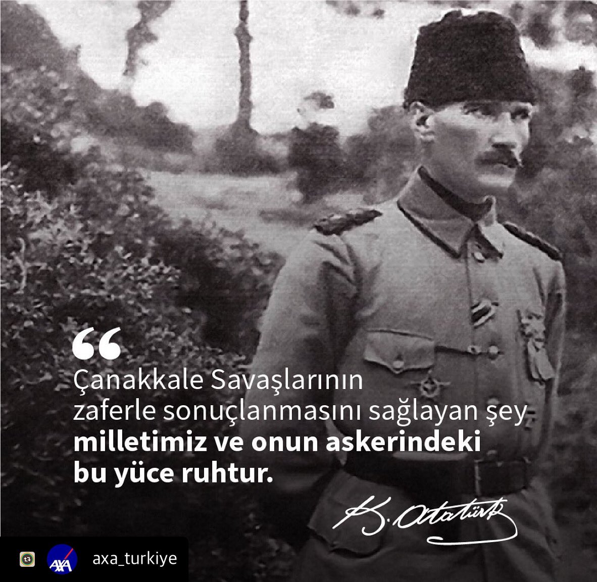 Sevil Düral (@sevildral1) on Twitter photo 