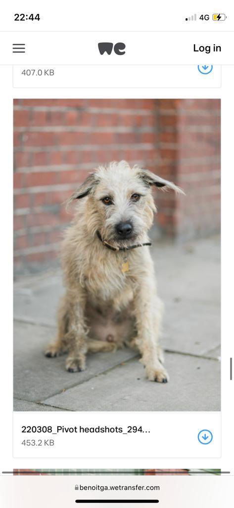 Alice Moxley tweet media