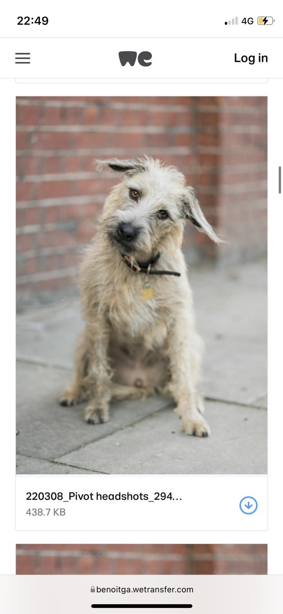 Alice Moxley tweet media