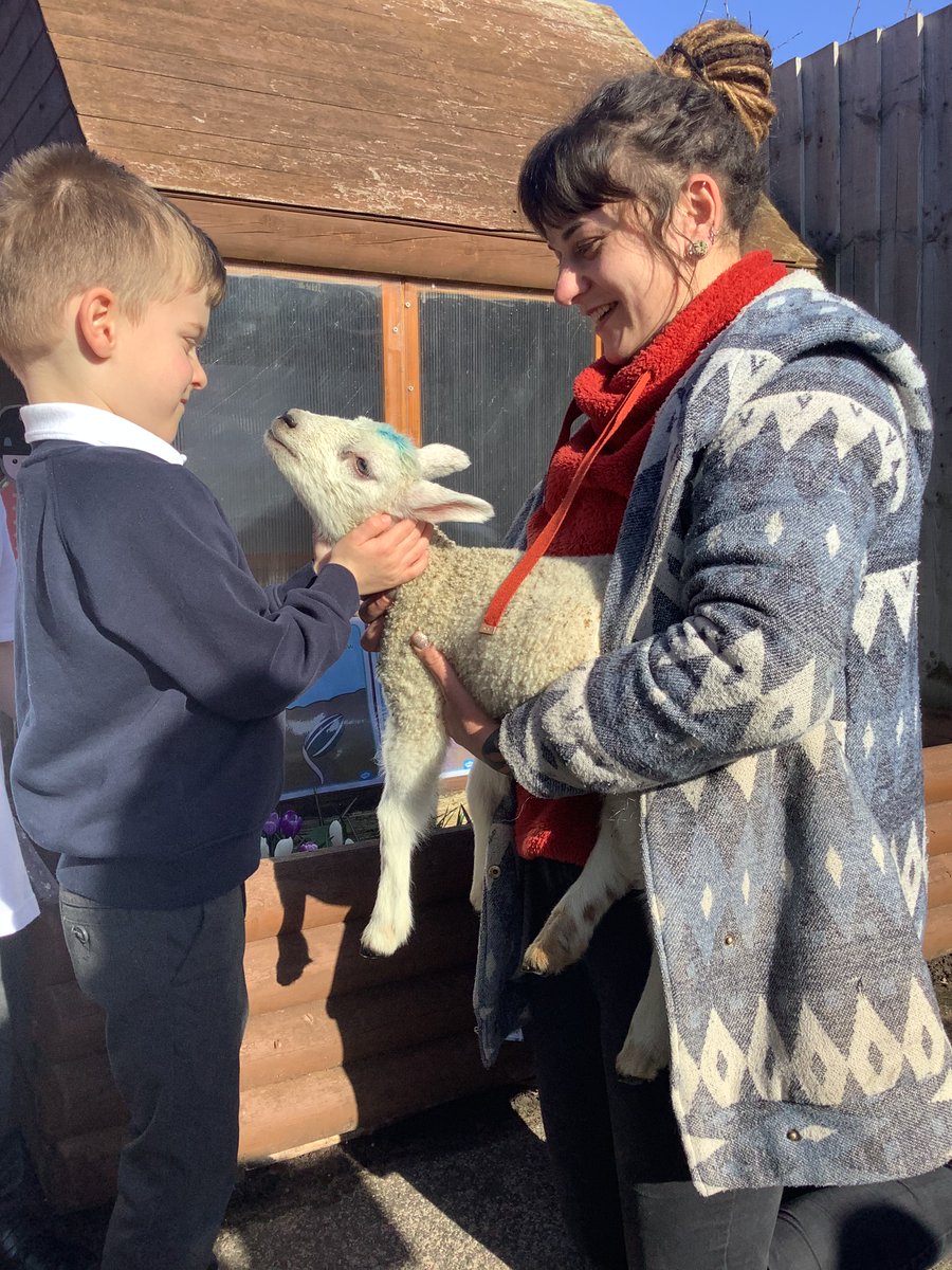 St Michaels Stone tweet media