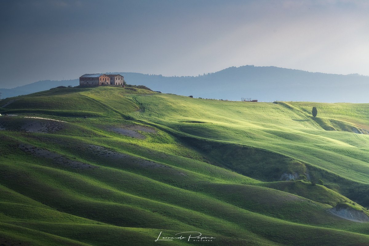 GM GM 💚 The hills are starting to look green again! 

#NFTCommunity #nftphotography
