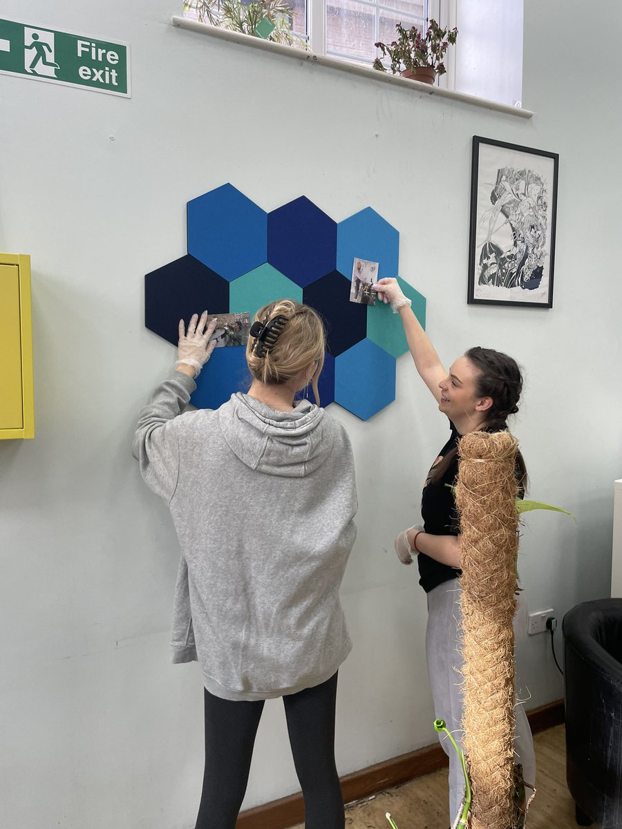 TaraSHP #teamshp tweet media