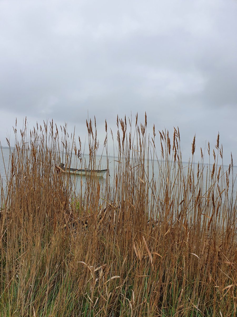 Aidylindi's tweet photo. Le village des pêcheurs.....
Canet-en-Roussillon... https://t.co/WKKQRcxi0z