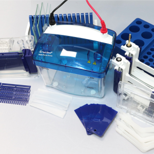 cultek_bio's tweet image. Echa un vistazo al sistema de proteínas FastGene® PAGE de @Nippon_Genetics -  el pack completo para electroforesis en gel con mecanismos de ensamblaje únicos y seguros.
Para mas información: cultek.com/catalogsearch/…
#nippon #cultek #FastGene #PAGE #proteinas