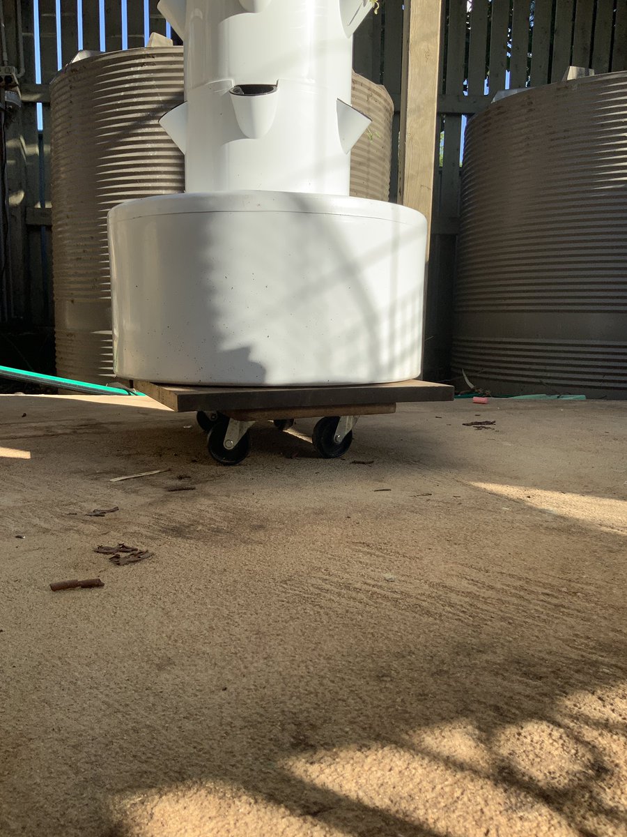 Tanya Riach tweet media