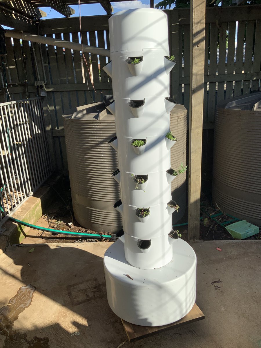 Tanya Riach tweet media