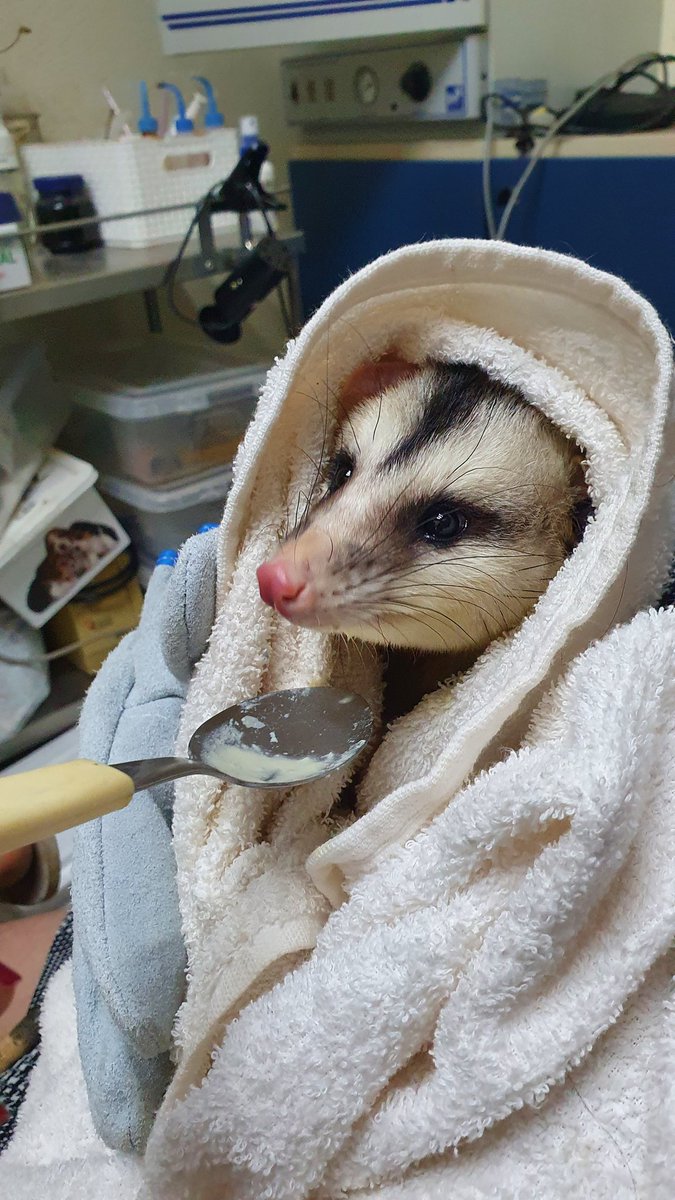 Belfast Empire tweet media