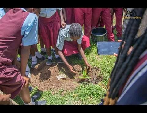 LadatG's tweet photo. Teach the younger generation Nature base solutions to climate change. A sustainable way of impacting on the climate space. As carbon emission is known to be worlds greatest source for climate change and challenges. Trees help in decarbonization #PlantMoreTrees #NatureBaseSolution https://t.co/rJtZazLifP
