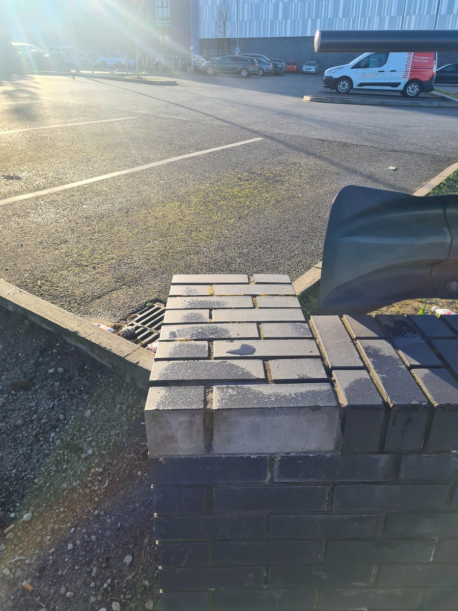 TutorStacey_EP's tweet photo. #WalkTheRoute Day 10 π broadcast with @LouMycroft - totally feeling re-centered again ready for wknd π bench still wet π€£ wall it is turns out to be secretly wet π€£π€£π€£ starting the day with a damp bottom but it's not ruining the sparkle π
#WhyShouldntWe #Potentia #JoyFE https://t.co/tsTRBq2mAX
