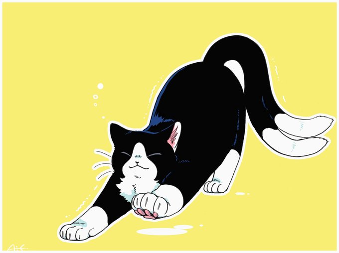 「黒猫 瞑目」のTwitter画像/イラスト(新着)｜21ページ目