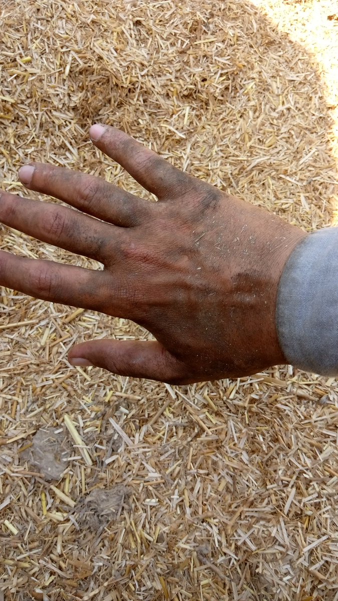 Mehnat ny hathon ka ya hal b kia