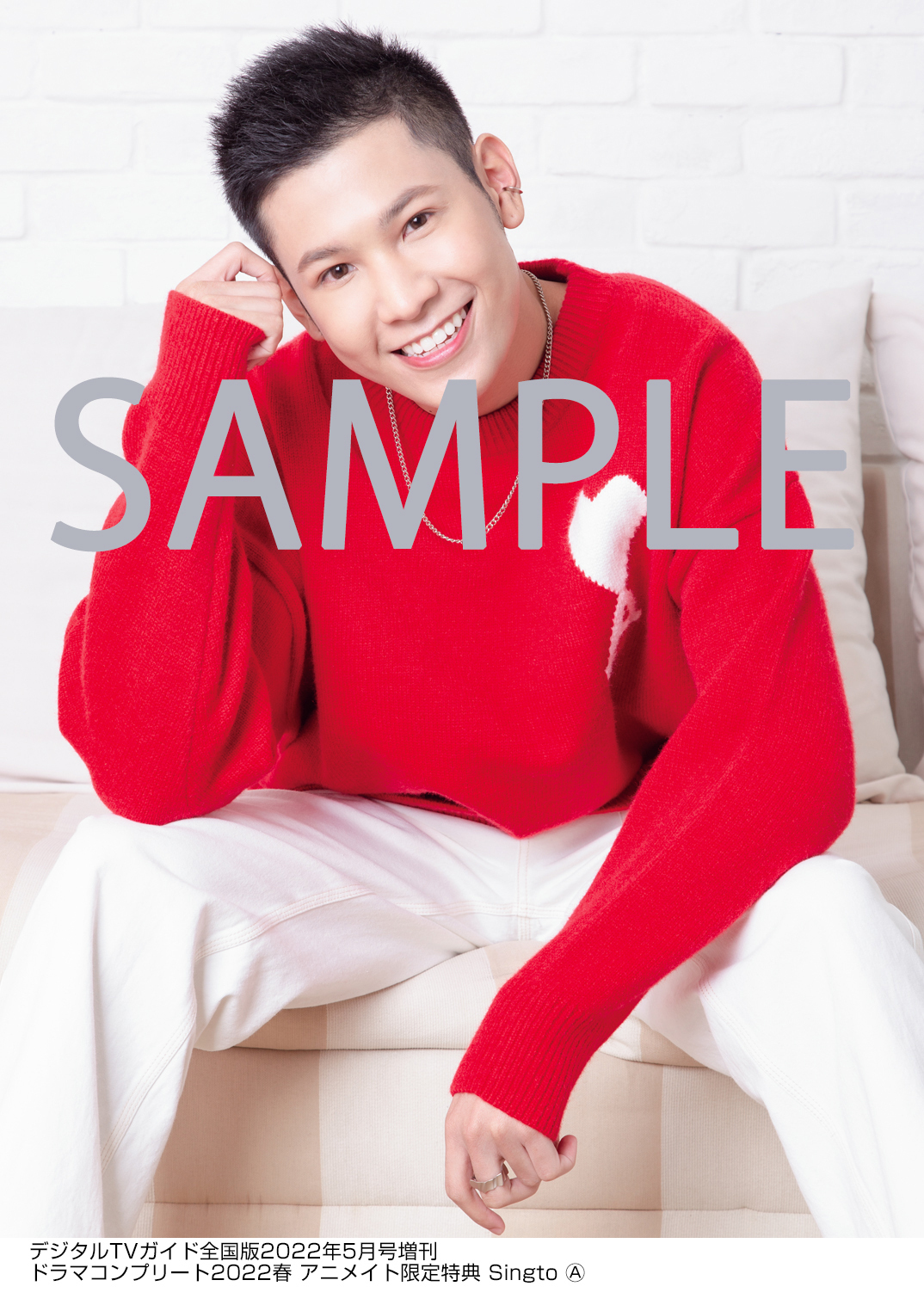 デジタルtvガイド デジタルtvガイド 増刊 ドラマコンプリート 22春 4 4発売です タイ フィリピン ベトナム 台湾 韓国 Etc 世界のblドラマも大特集 アニメイト限定特典も Singto ブロマイド3種 数量限定 ランダム配布 予約受付中