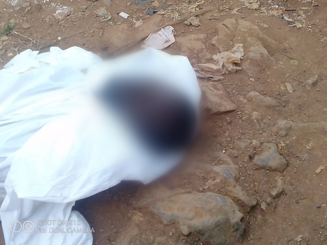 MMI News tweet media