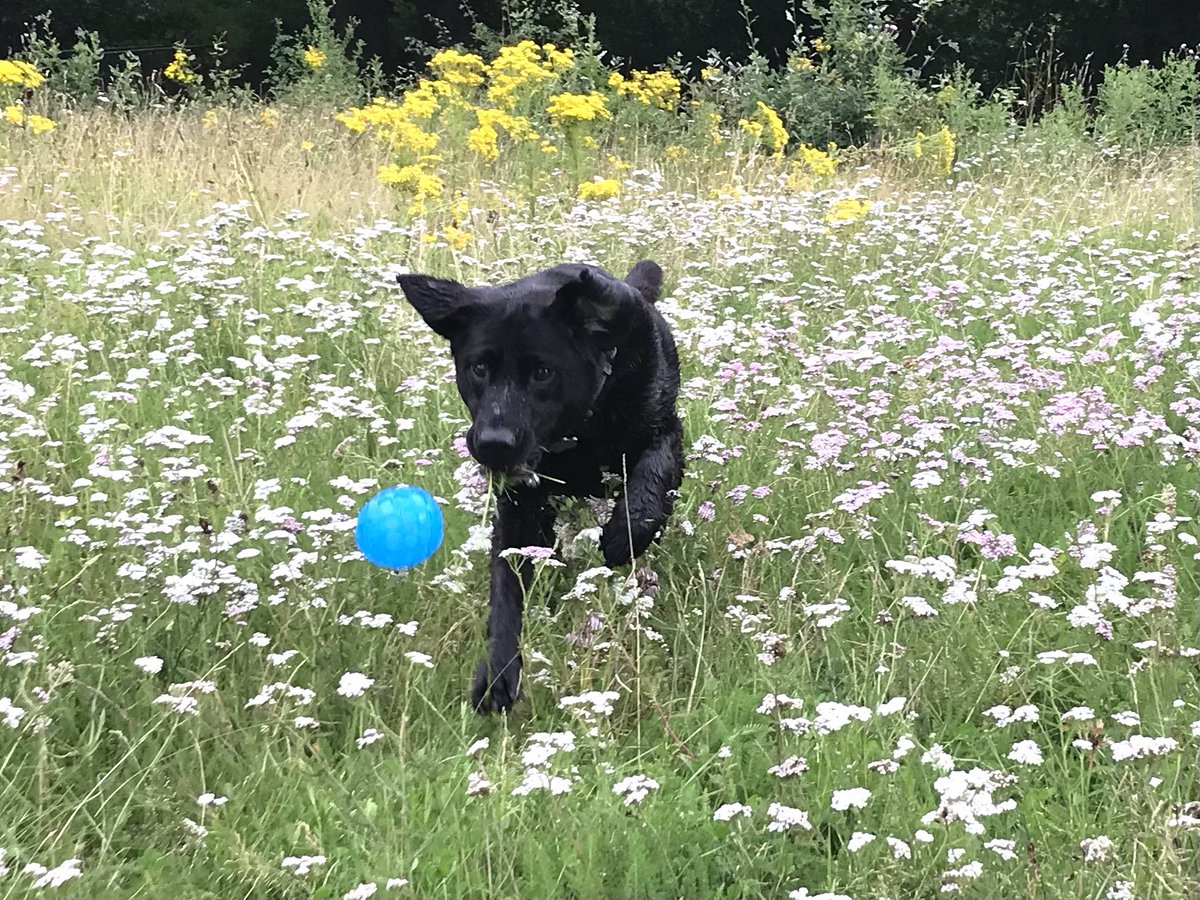 Mandy Pike tweet media