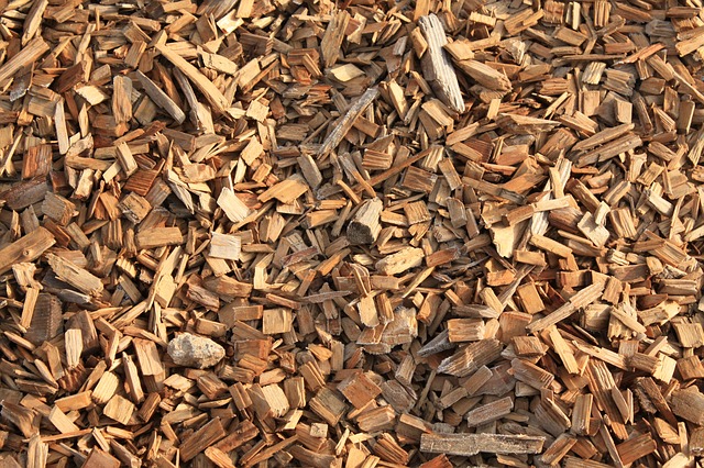 AcuComm's tweet photo. UPDATE: ANDRITZ announces successful start-up of new biomass-fired Carpe Futurum plant in Boländerna, Uppsala: https://t.co/m3qMjEAYOC https://t.co/p6Sdg29q7U