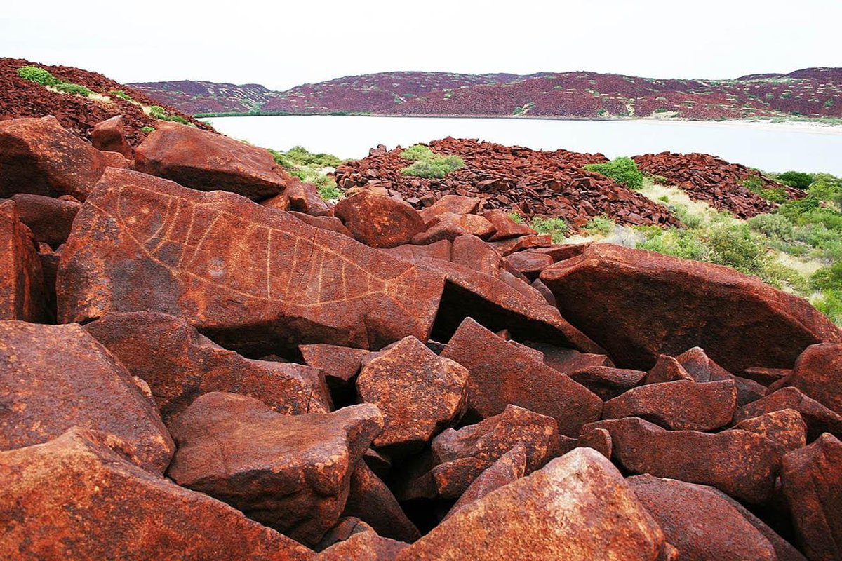 Murujuga in the Pilbara, has a huge collection of rock art with over one million images capturing 47,000 years of human existence.

A proposed amendment to improve access is now open for public comment.  
 
ourwaparks.org.au/improved-acces…

📸Photo credit: Murujuga Aboriginal Corporation