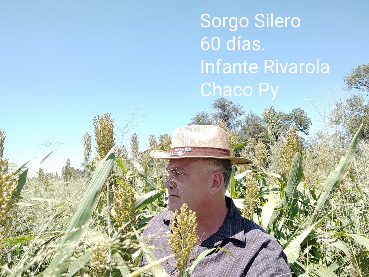 Producción de alimentos para el invierno.