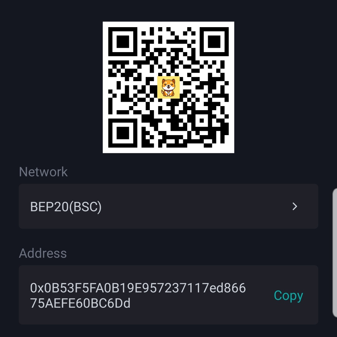 CryptoBOSSton's tweet photo. @BabyDogeReports Babydoge ger in early https://t.co/EvVfzxAknq