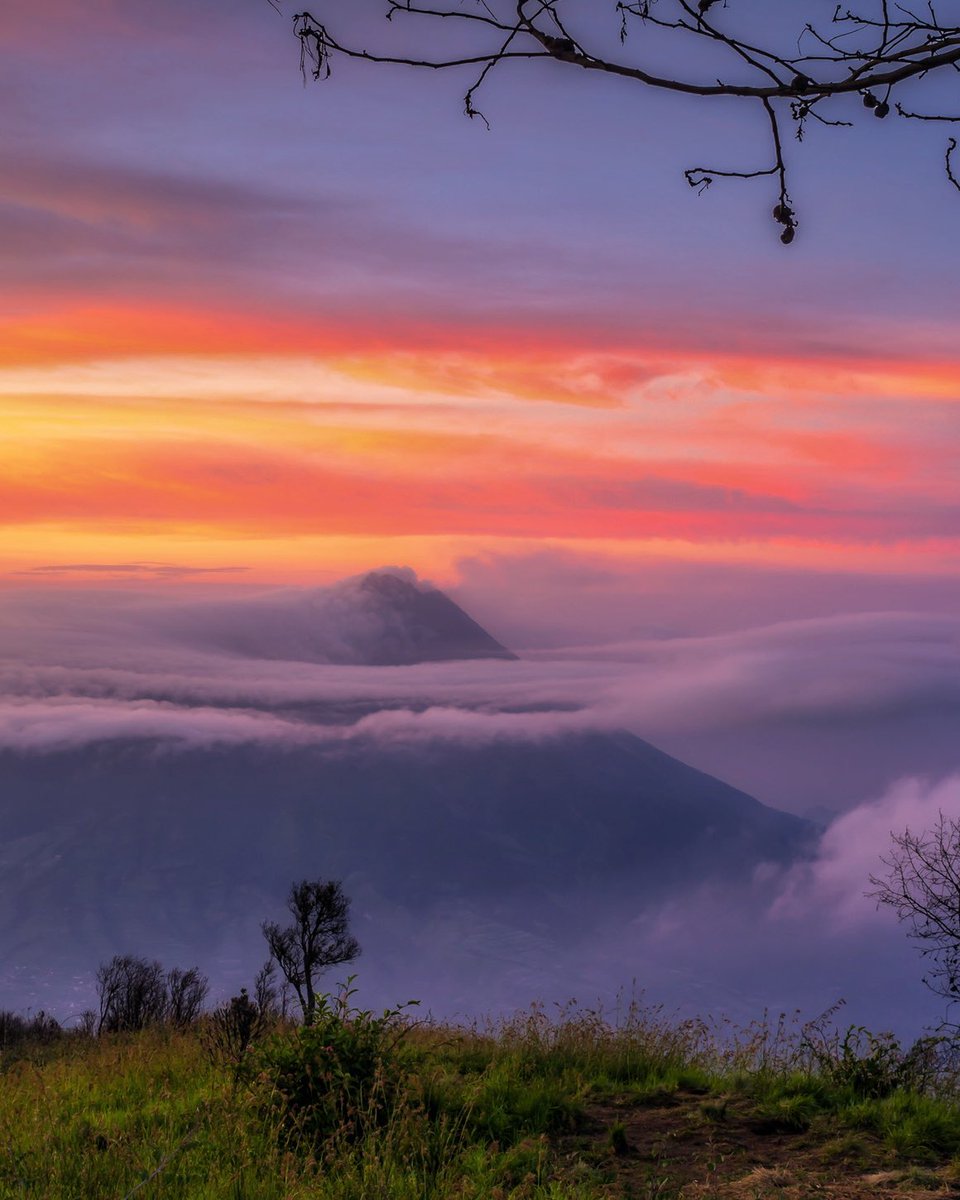 nov235711's tweet photo. Dampo Awang aka POS 3
.
Tempat berkemahnya jika mendaki Gunung #Merbabu dari Desa #Suwanting. Lokasi dengan pemandangan sunset 3 gunung legend Sumbing-Sindoro-Prau. #Merapi terlihat besar dan jelas dari sini. Mendaki itu memang candu https://t.co/0tcgFDP45S