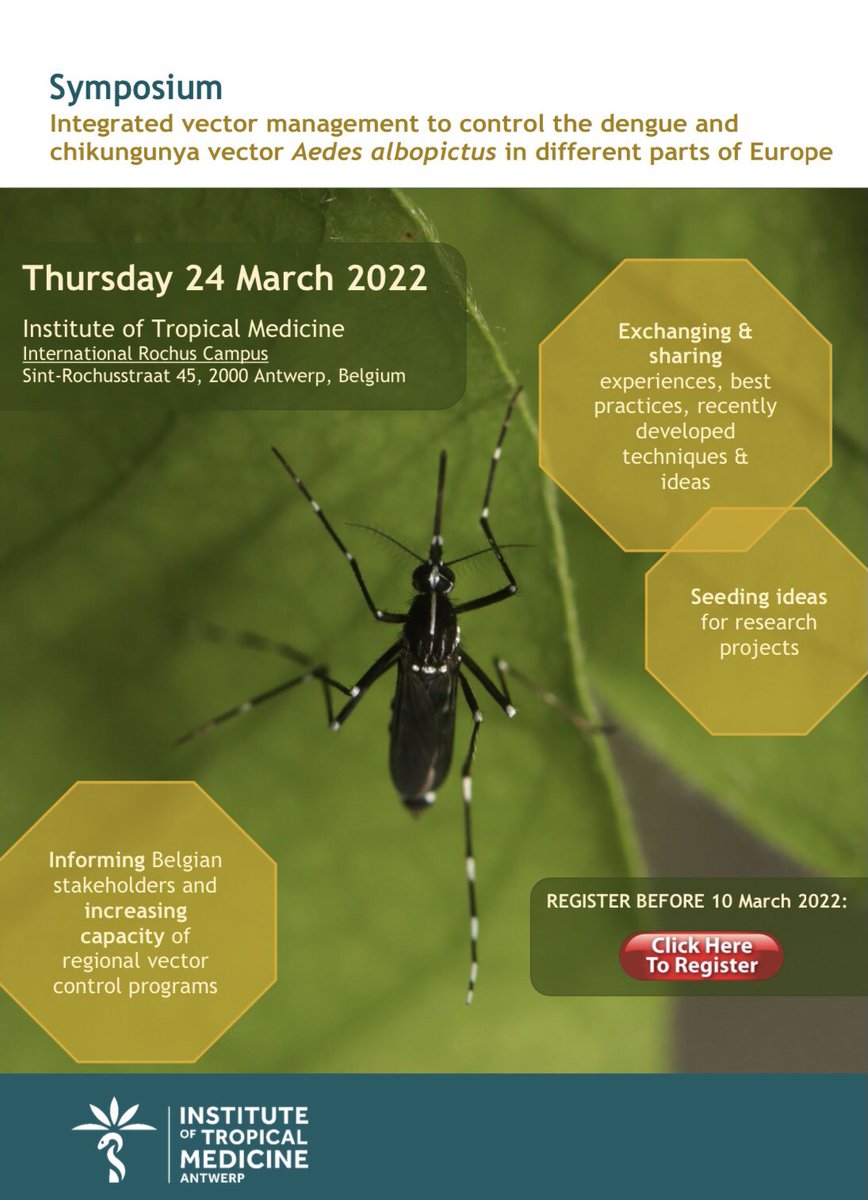rubueno10's tweet image. ✈️ Next week in #Belgium attending the #Symposium organized by @ITMantwerp: “Integrated #VectorManagement to Control de #Dengue and #Chikungunya vector #AedesAlbopictus in different parts of #Europe”🇧🇪
🦟A pleasure to expose our experience in terms of #MosquitoControl in #Spain🇪🇸