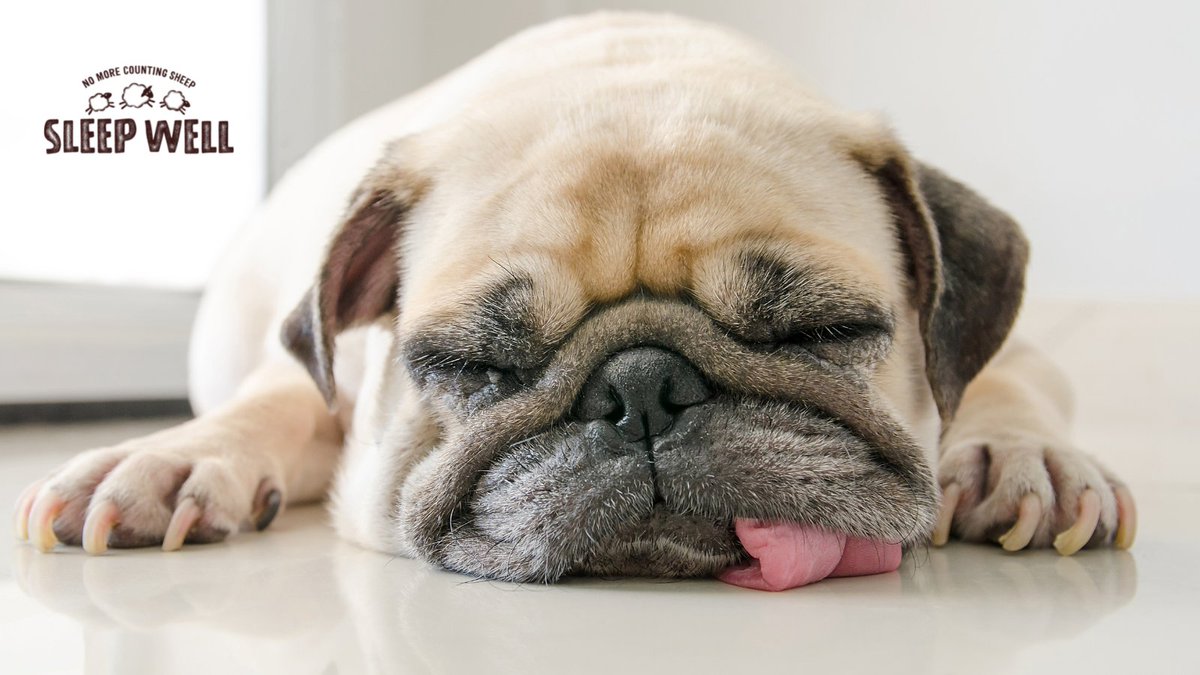 Sleep Well Drinks tweet media
