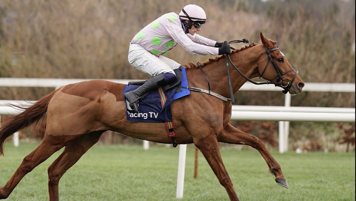 Dean__Hurrell's tweet photo. 🚨SIR DEAN CASH GIVEAWAY DAY 4🚨

If VAUBAN wins the Triumph Hurdle I will give one lucky follower £100 straight into your bank account tomorrow. To be in with a chance of winning all you need to do is 

Follow @dean__hurrell 🤝

Retweet this tweet 🔁 https://t.co/tTDGjb2SmZ