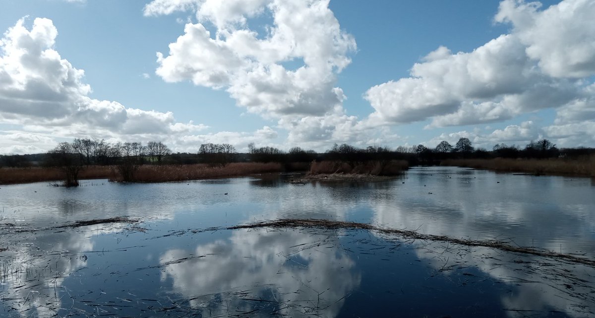 SomersetCouncil's tweet photo. #WalkOfTheWeek this week is Ham Wall Nature Reserve! 😍

RSPB Ham Wall is a wetland nature reserve between #Ashcott and #Meare with stunning views across to Glastonbury Tor and the Mendips! 

Big thanks to Angela for sending in these photos! 

Interested? https://t.co/z9tt2Id73Y https://t.co/h35pnAFFqE