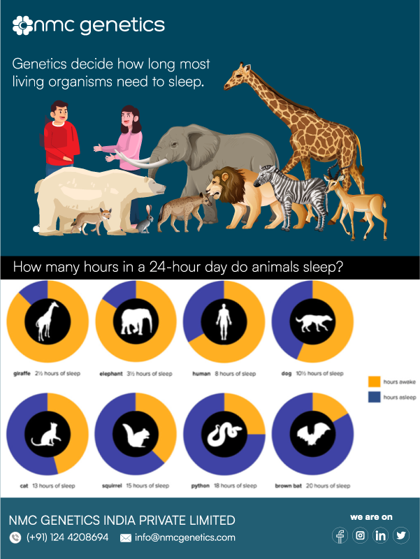 NeotechworldLab's tweet photo. World Sleep Day!
#sleephealth #sleepbetter #sleepapnea #obstructivesleepapnea #sleepwell #genetictesting #nmchealthcare #genetics https://t.co/oQS2I09rBy
