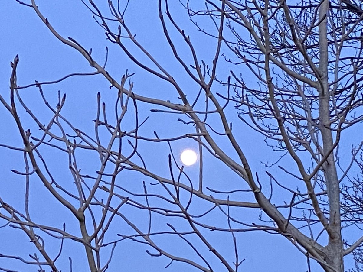 ‘Though I am old with wandering
Through hollow lands and hilly lands,
I will find out where she has gone,
And kiss her lips and take her hands;
And walk among long dappled grass,
And pluck till time and times are done,
The silver apples of the moon,
The golden apples of the sun.’