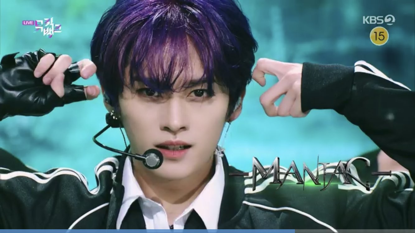 Stray Kids 有り難う Lee Know うちわ MANIAC リノ