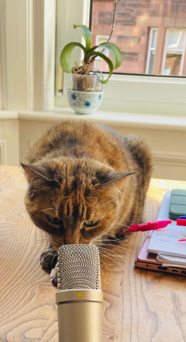 LechatVivienne's tweet photo. Elaine Paige walks into a bar…

Barman: where’s your whiskers?
EP: I shaved them off
Barman: you shaved them off?? 
EP: aye
Barman: why?
EP: cos I’m not a real cat 

(That one needs some work 😬) https://t.co/ZQTGmYJ1Cj