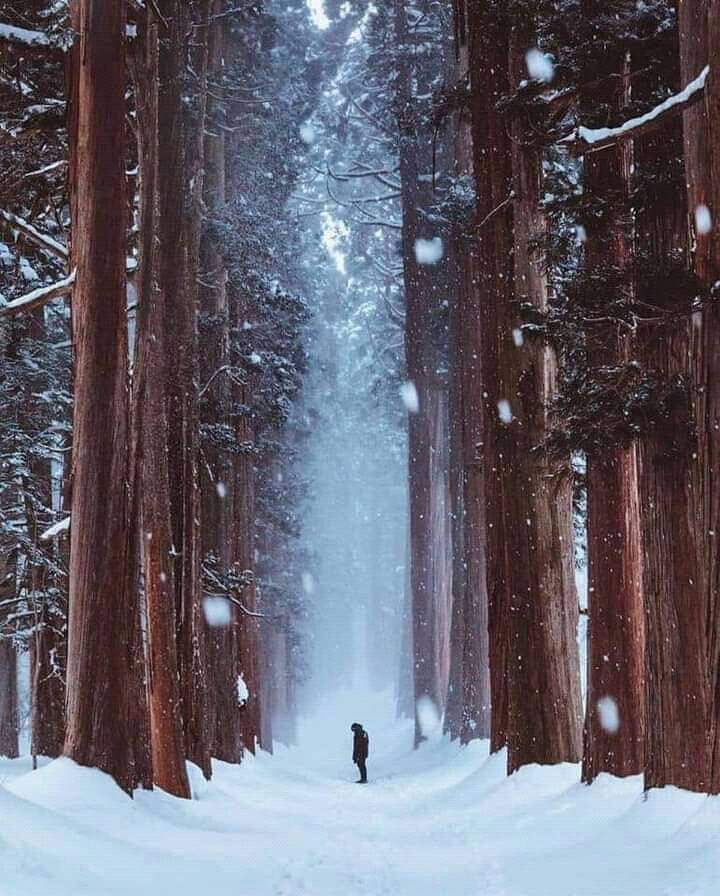 بنت ❤الجزائر ❤ tweet media