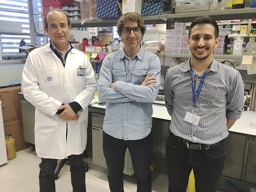 Un estudi de l'@IMIM_research <a href="/hospitaldelmar/">Hospital del Mar</a> que publica <a href="/NatureCancer/">Nature Cancer</a> ha aconseguit transformar tumors resistents al tractament i curacions en models animals 
 
Incrementen radicalment l’eficàcia de la #immunoteràpia en #càncerdemama
➡️imim.es/noticies/1063