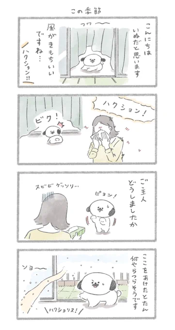 おいぬも花粉症に気をつけよう!
#こんにちはいぬです 