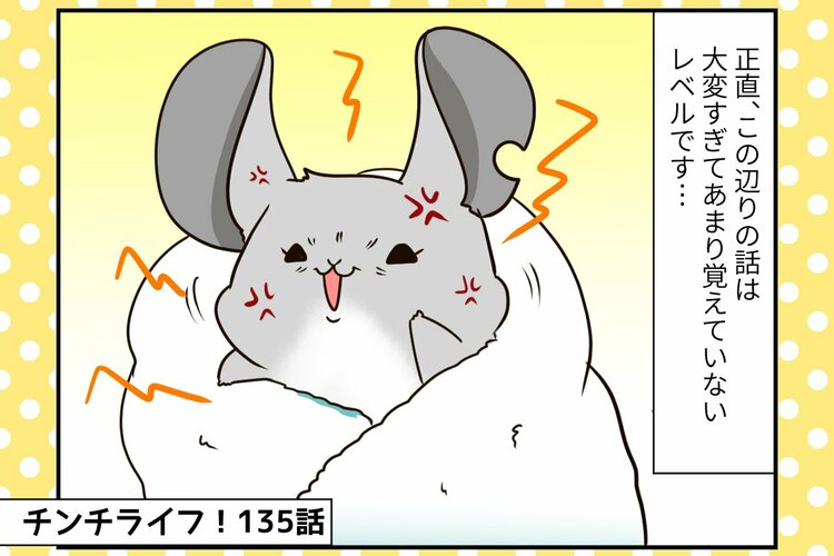 チンチライフ更新されてます🤗✨

チンチラの「おみくじ」が全くえさを食べない。呼吸にも変化が【チンチライフ135話】 https://t.co/RTDrP0R2ty 

#チンチラ
#chinchilla
#エッセイ漫画
#漫画が読めるハッシュタグ 