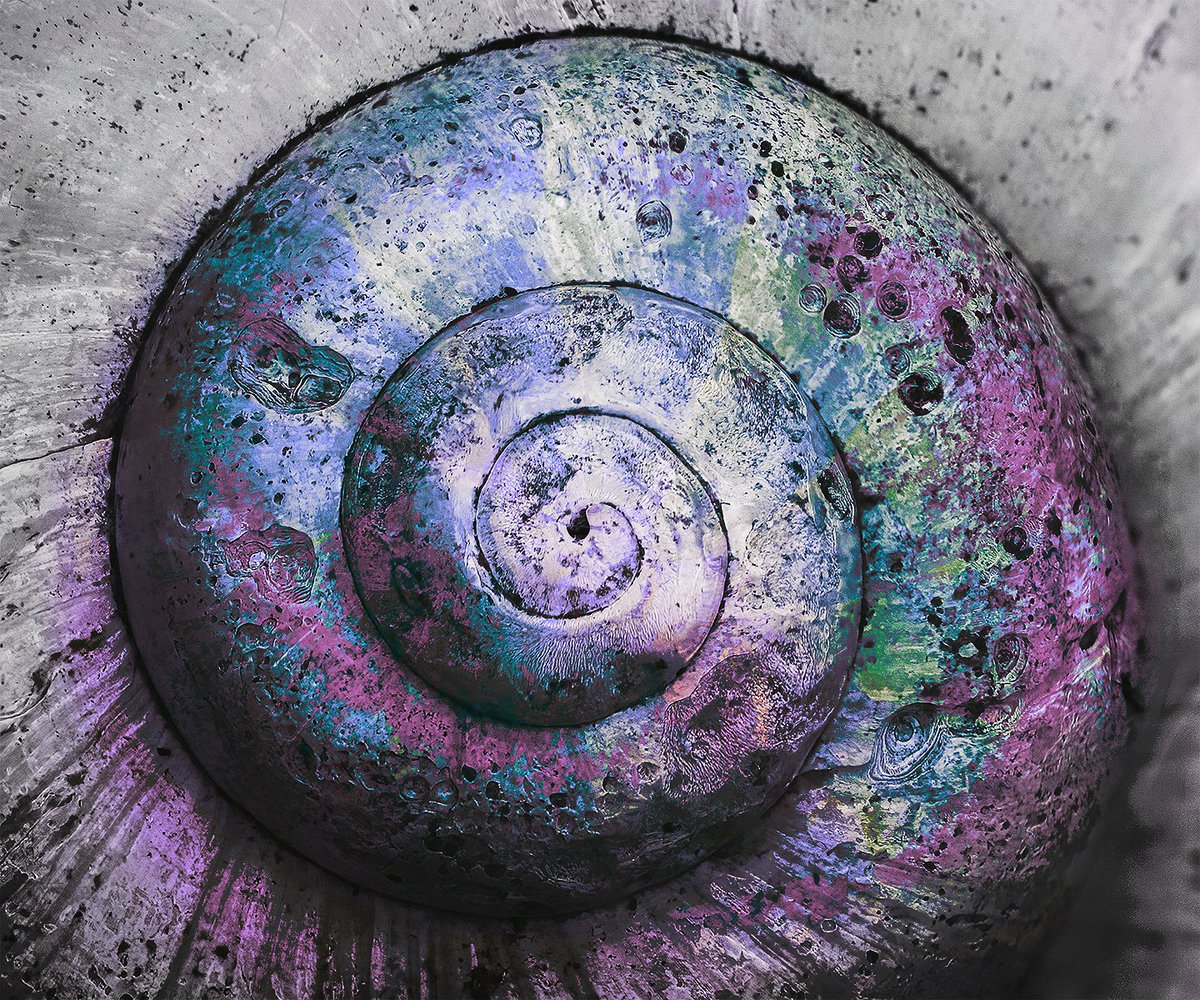 Mixing macro with a little Photoshop magic, inspired by a talk at Ely Photographic Club. Not my usual style but fun to try something new. Once a plain white snail shell. @ElyPhotographic @SpottedInEly @ThePhotoHour #macro #photoshop