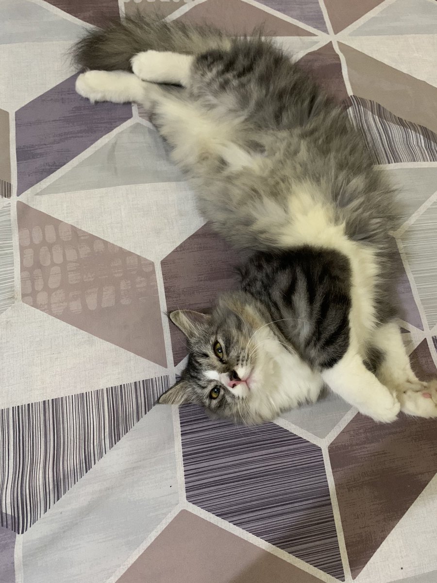 NotYourBaee tweet media